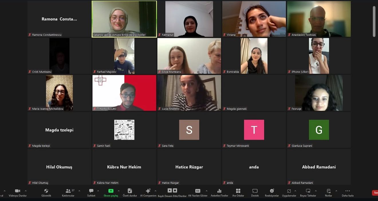 Online Project Meeting