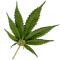 [Image: 7kWld6N_.gif]