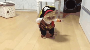 7sD8Zx.gif