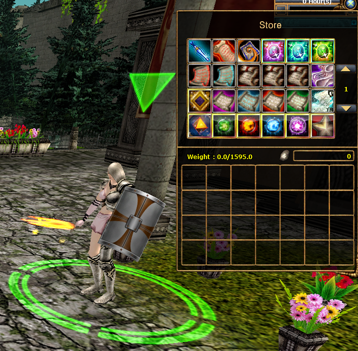 Scroll Shop - NPC İçerikleri