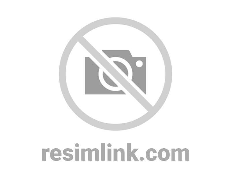 resim