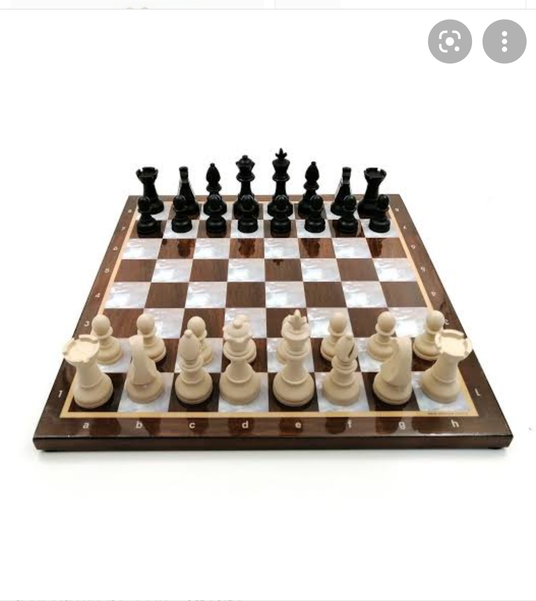 Satran� oynamayi biliyor musunuz?