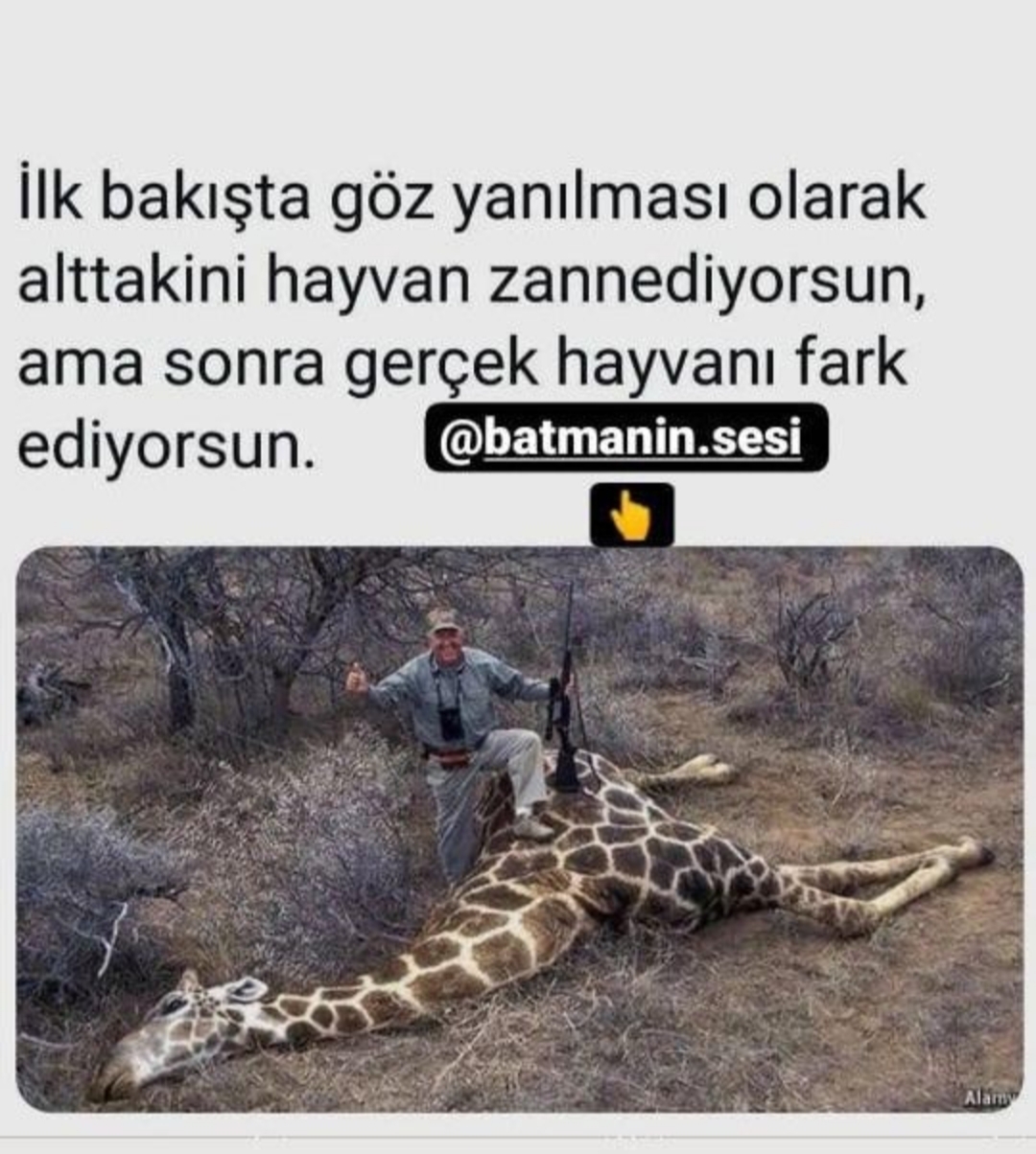 Resimdeki hayvani bulduk !!!!