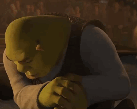 Shrek Shrek Meme GIF – Shrek Shrek meme Shrek staring – discover and share GIFs
