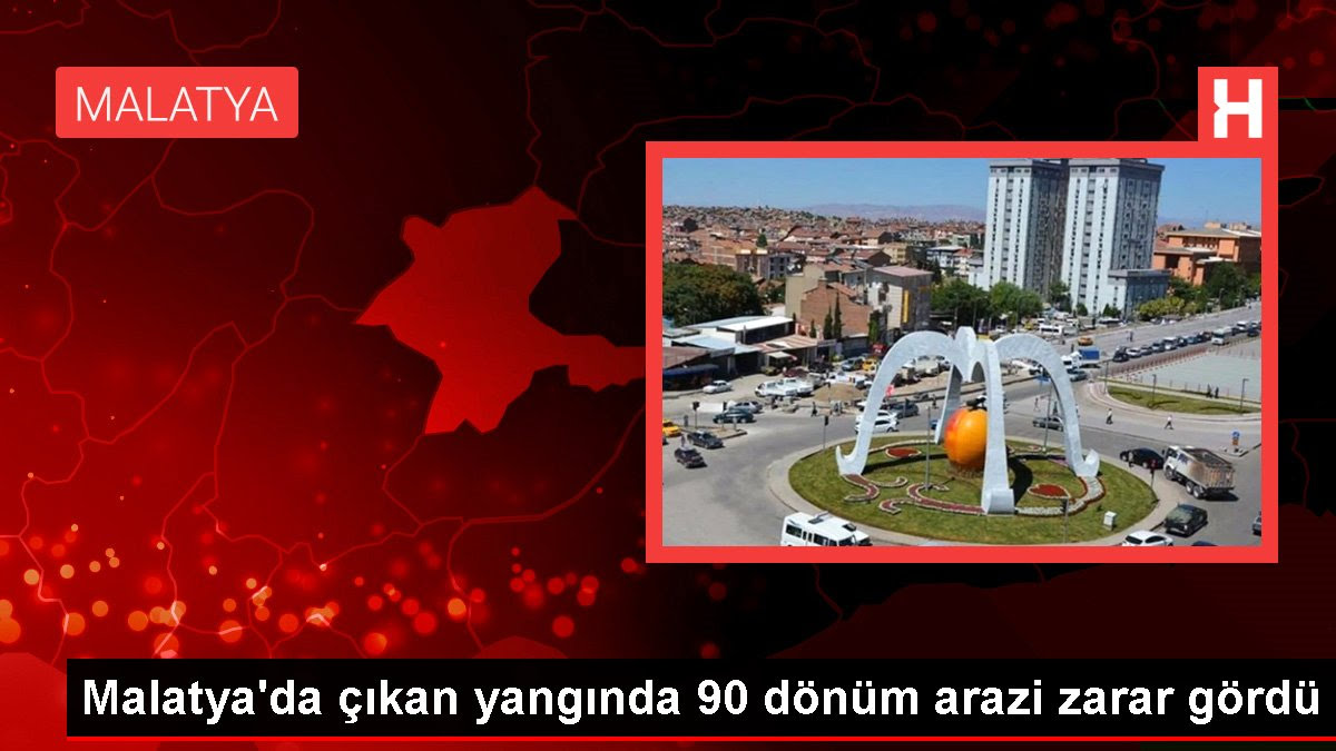 Malatya'da çıkan yangında 90 dönüm arazi zarar gördü Malatya'da çıkan yangında 90 dönüm arazi zarar gördü