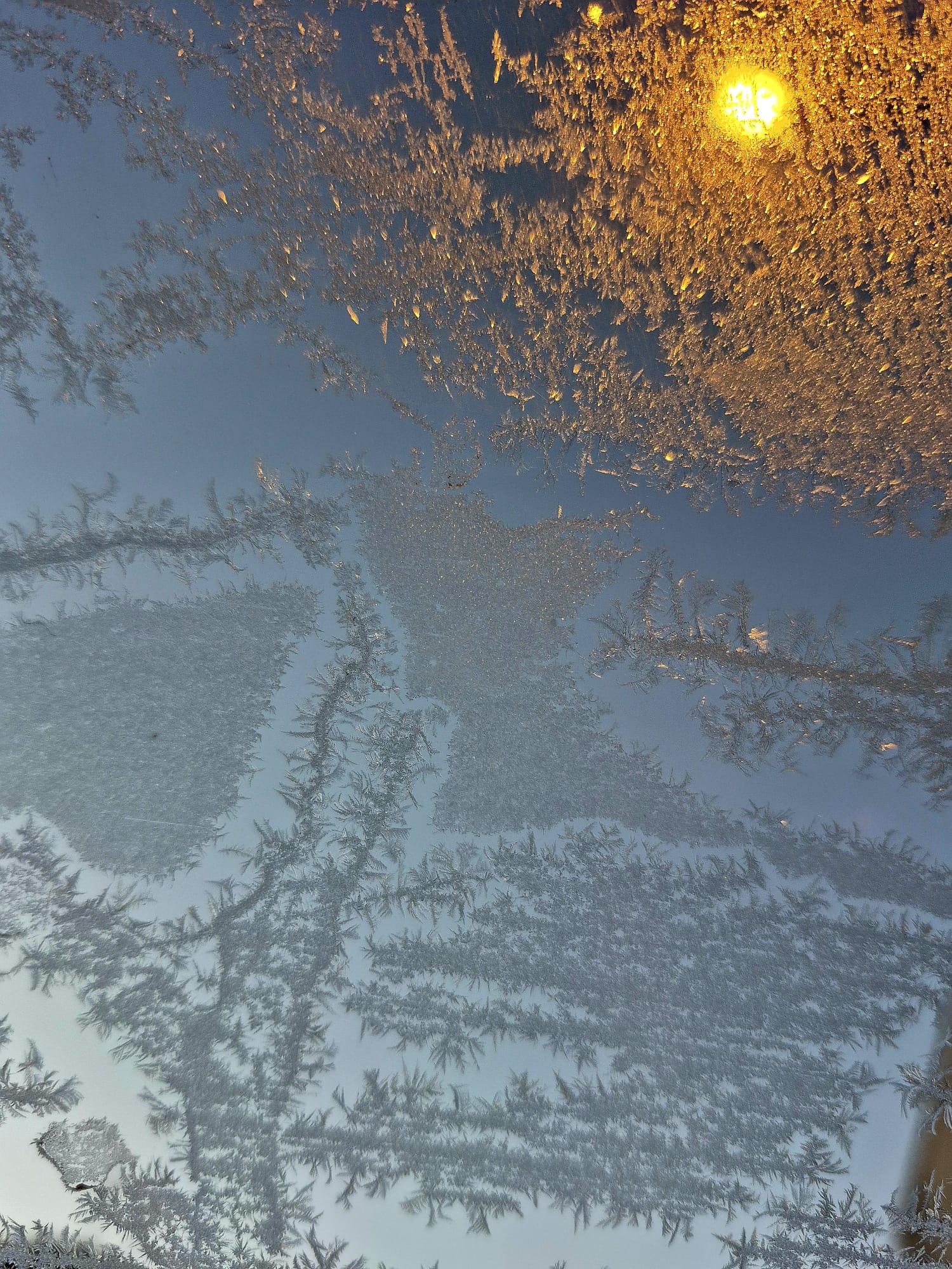 [Resim: Fwh9S18uga7Q.jpeg]