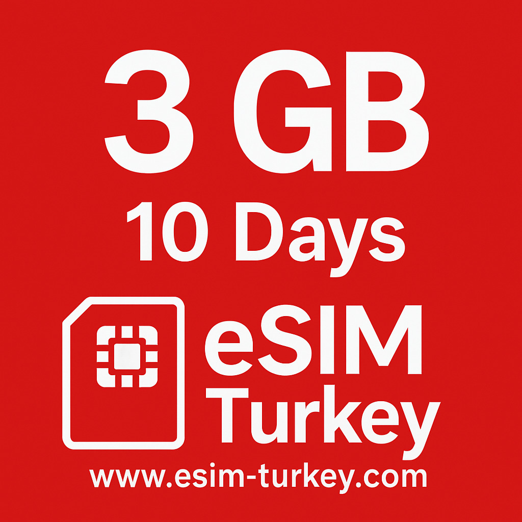 3 GB eSIM