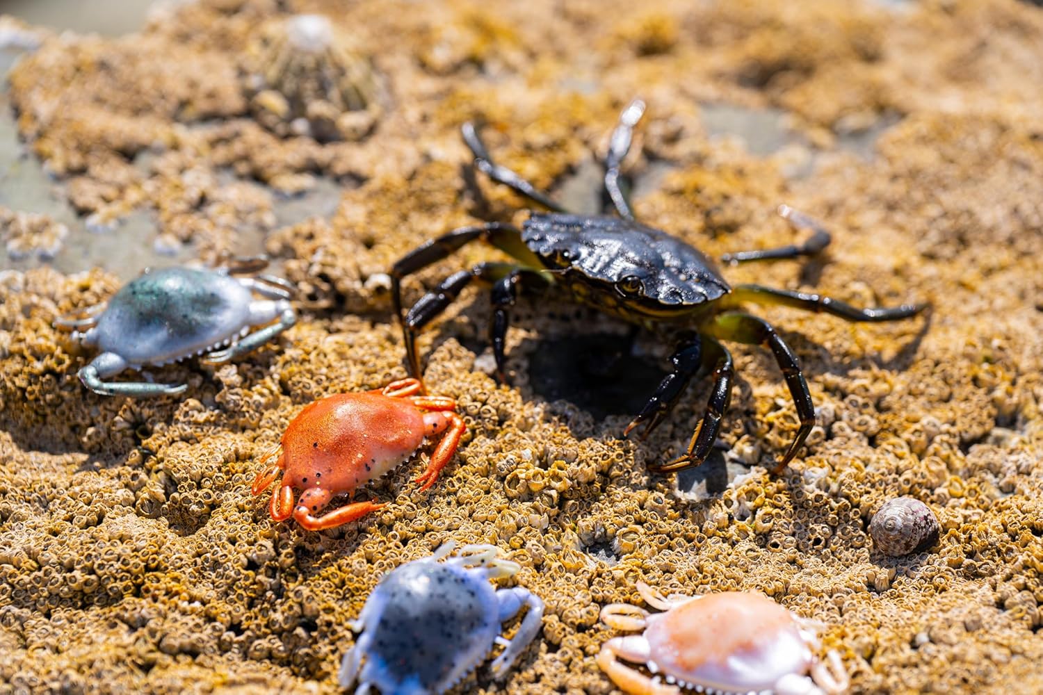 Berkley Gulp Peeler Crab Görsel 1