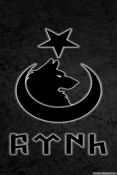HD-wallpaper-turk-gokturk-ulkucu-bozkurt-ayyildiz-hilal-bayrak-turkiye-kurt-ok4nx