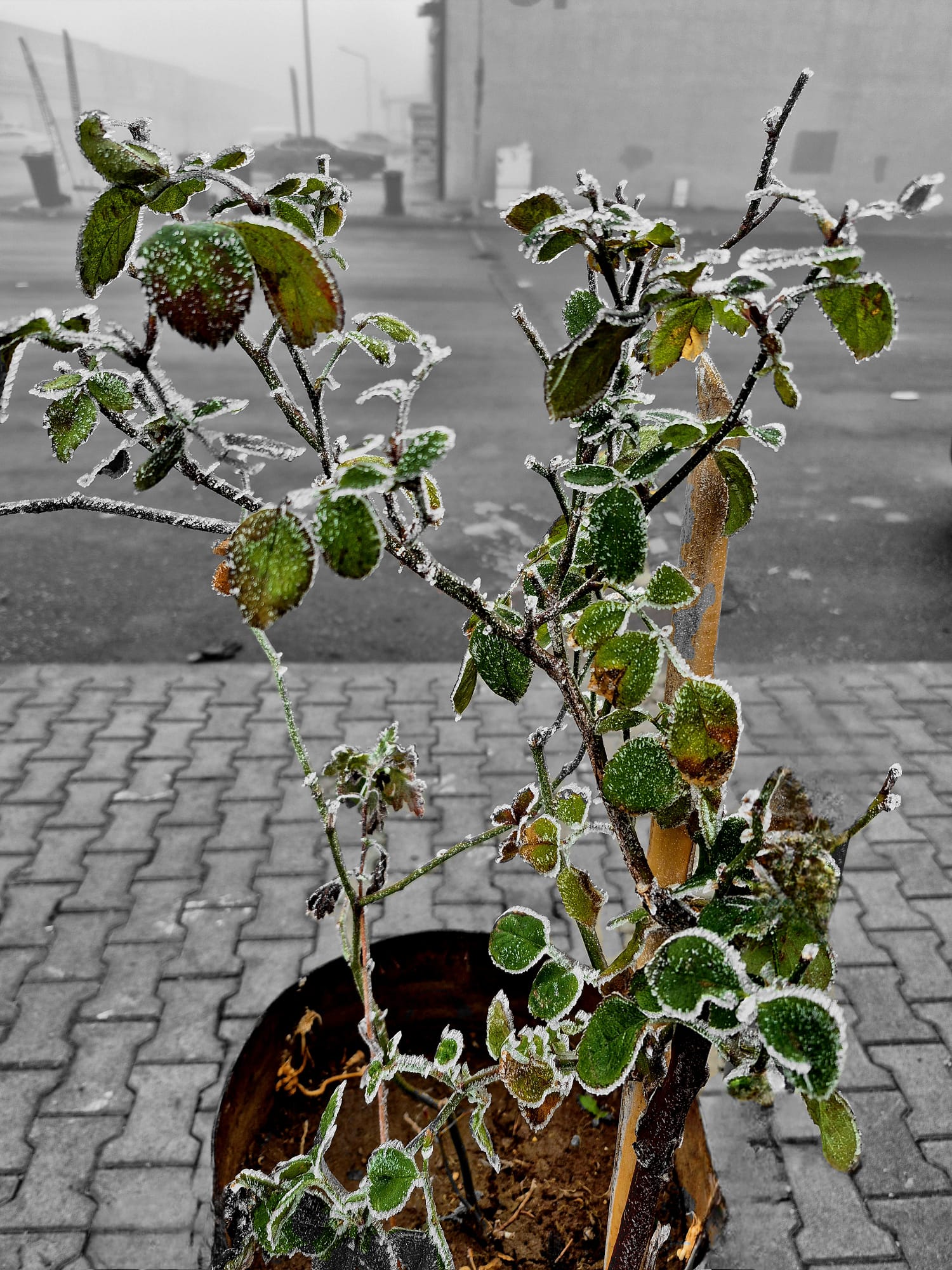 [Resim: QLAdIu.jpeg]