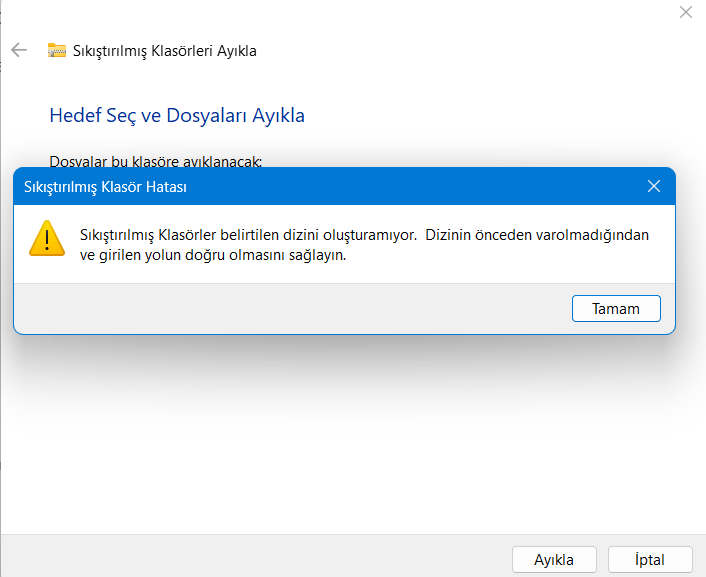 Ekran görüntüsü 2024-07-30 103740