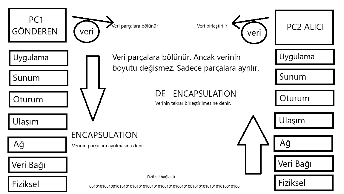 SY2VmoElQFh.png