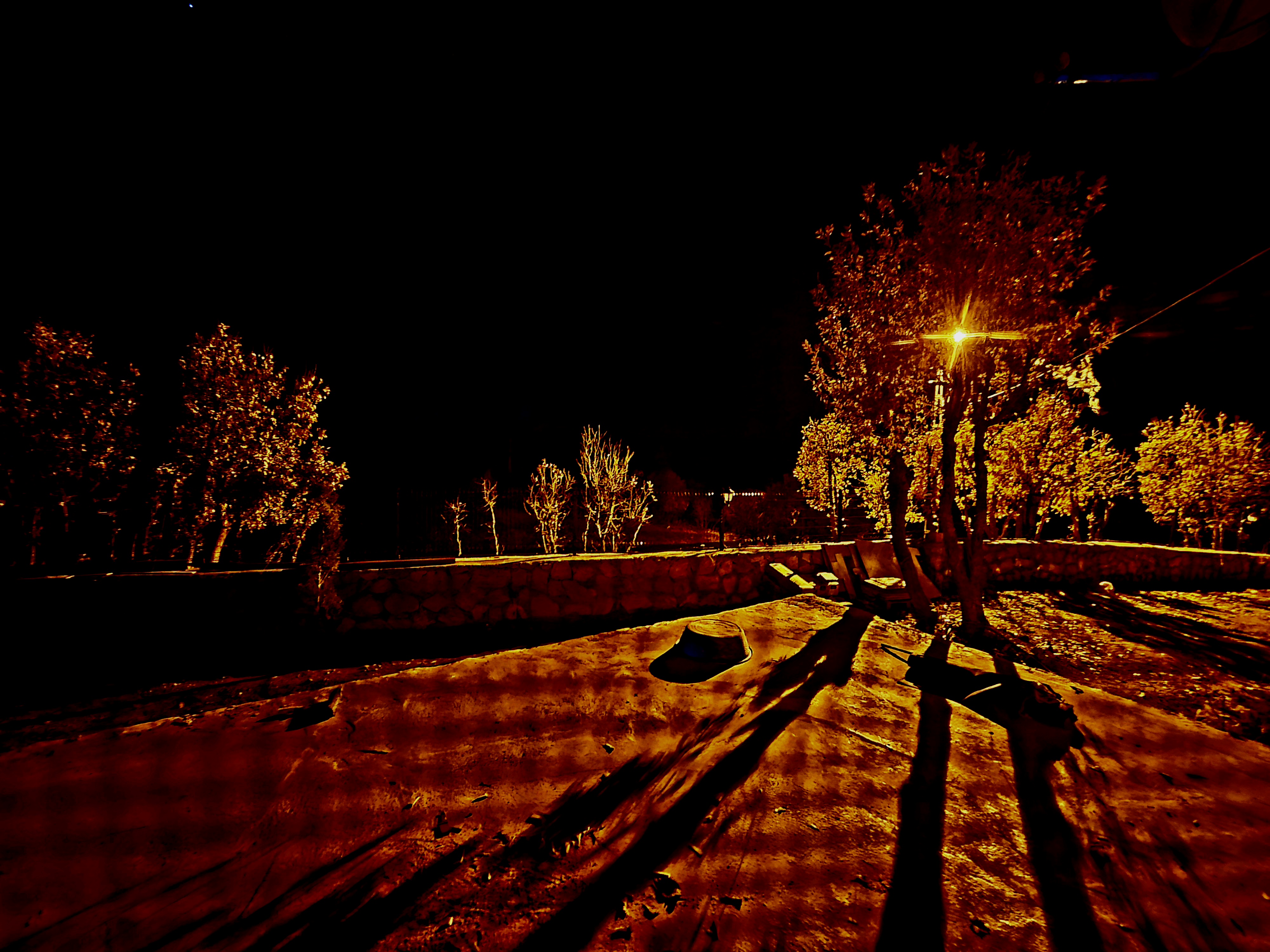 [Resim: WAgjGtynwJ.jpg]