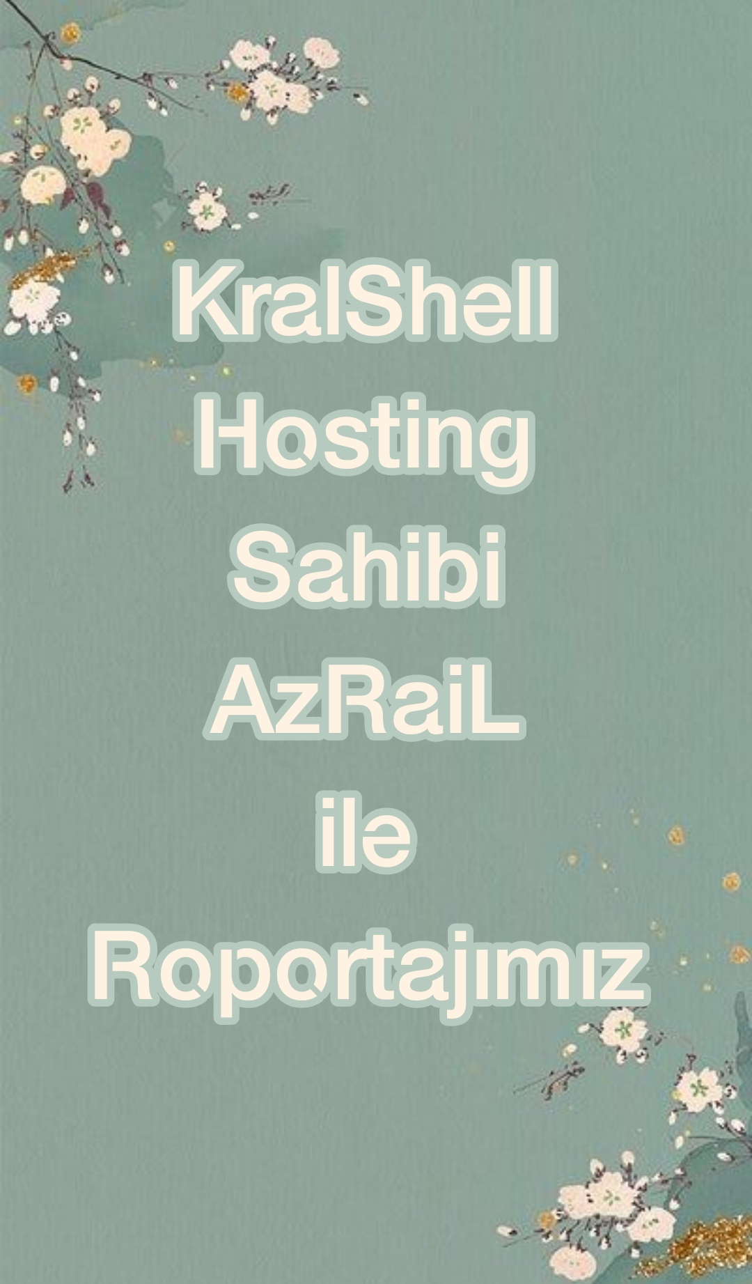 KralShell Hosting Sahibi AzRaiL ile Rportajmz