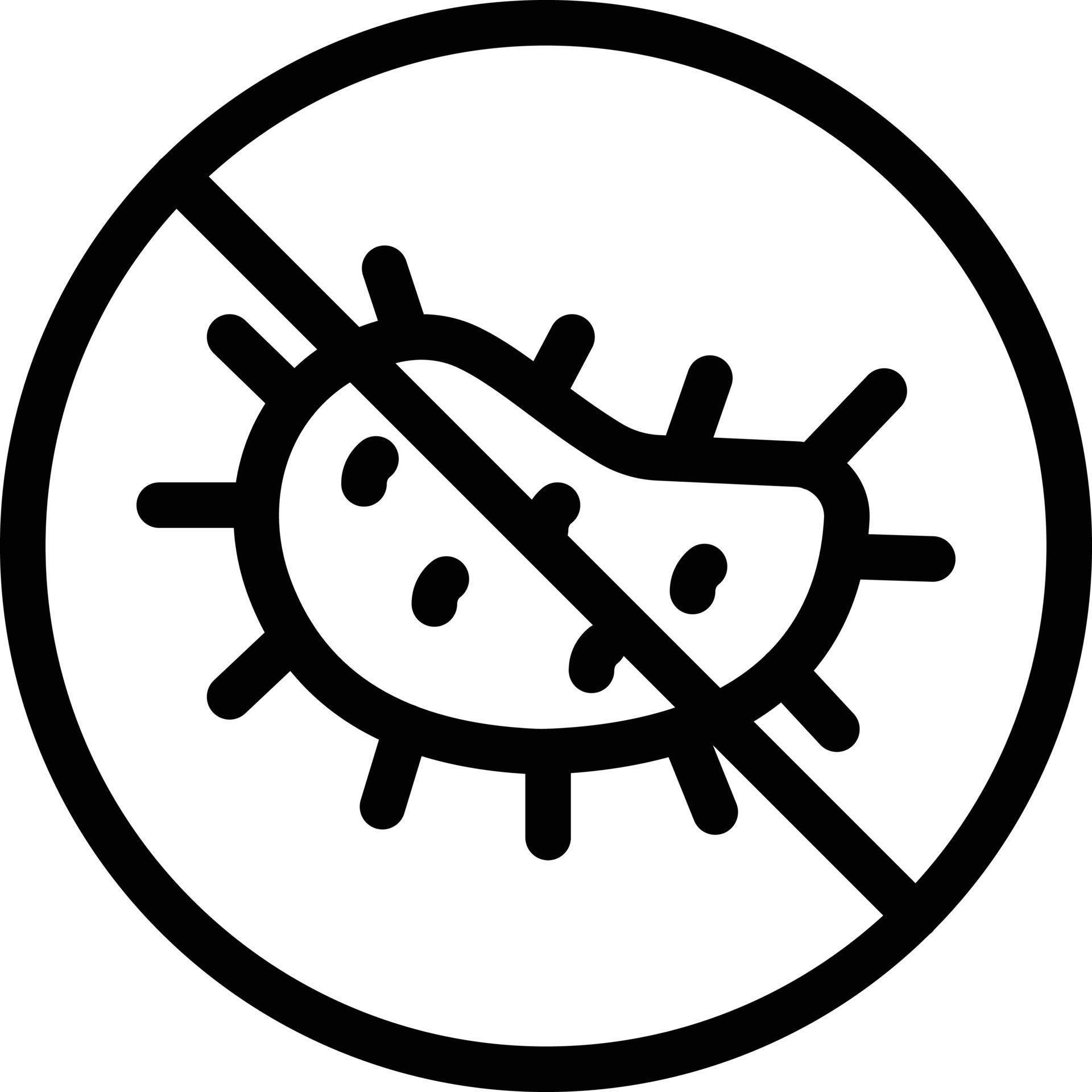 Antimicrobial Protection Icon