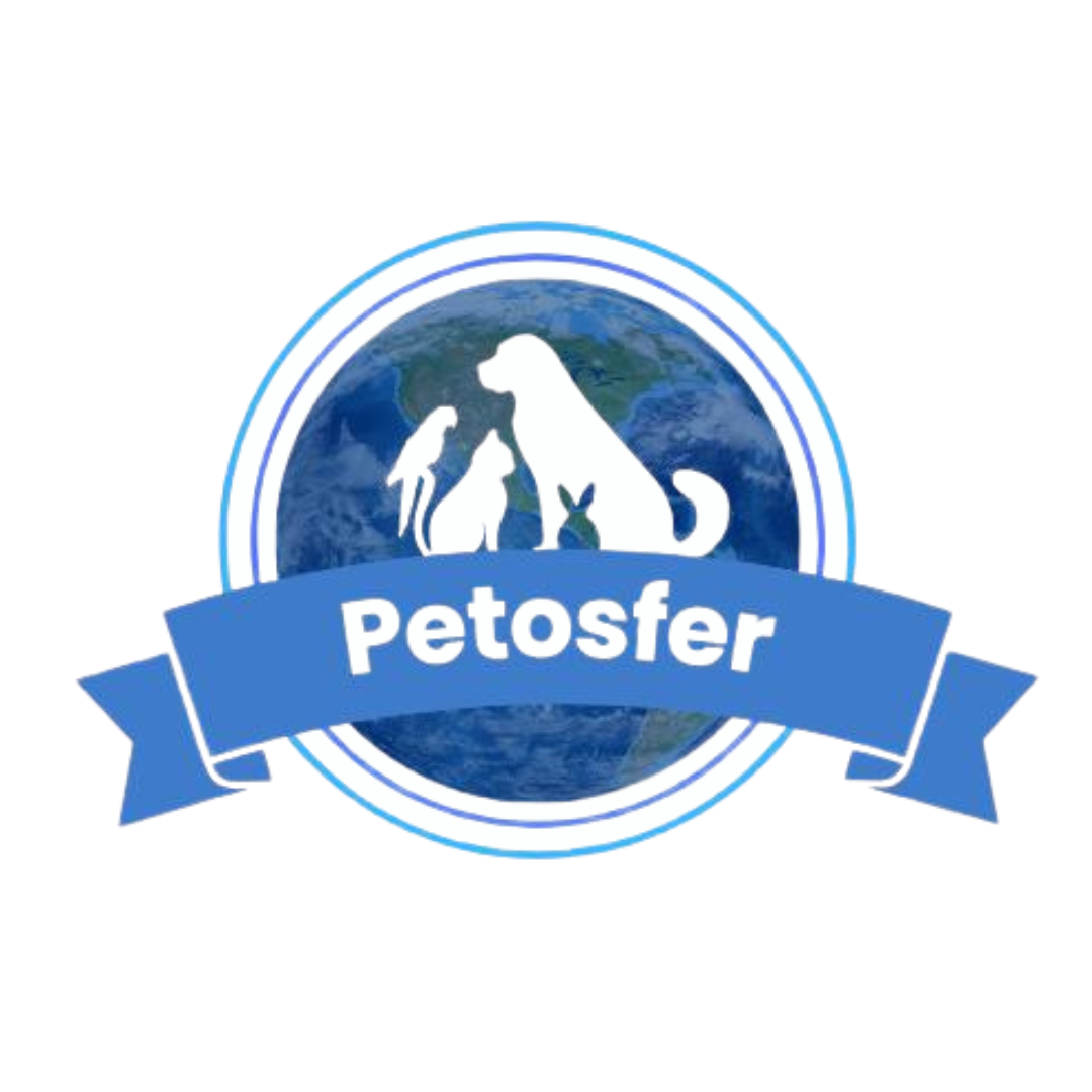 Petosfer Proje Logosu