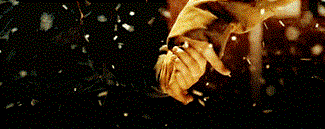 kQ2nOCy.gif