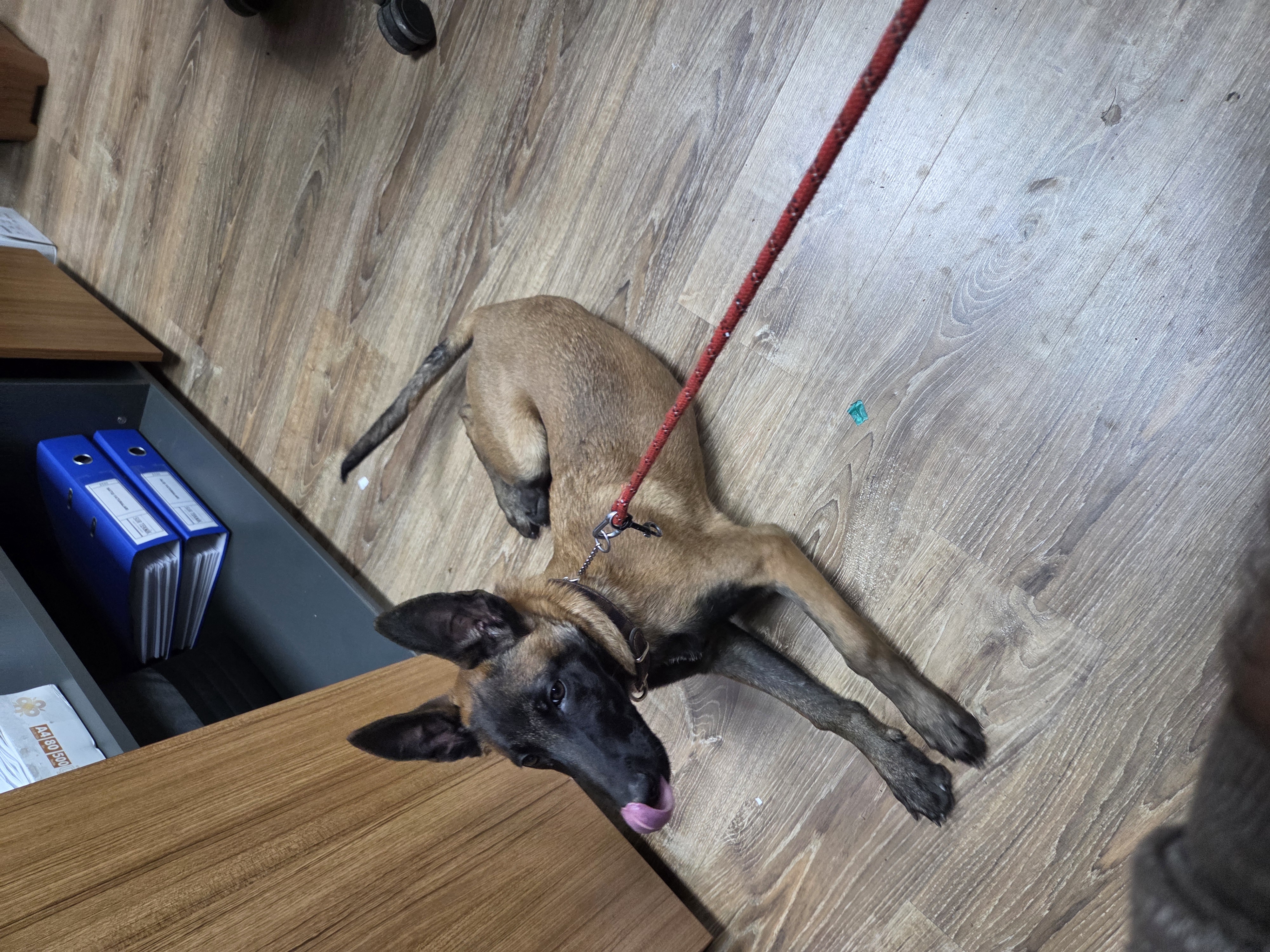 [Resim: nd-90gWoz.jpg]