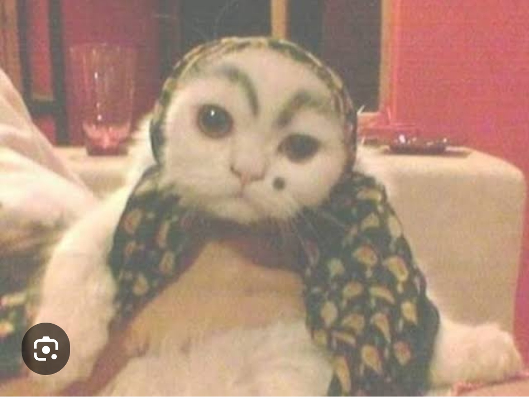 PurpLe arkadasimizin kedisi benden tatliyimis pehhhhh alin bakin!!!!!!