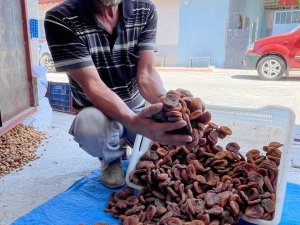 Organik g�n kurusu kay�s�n�n tanesi 2 TL